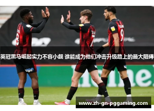 英冠黑马崛起实力不容小觑 谁能成为他们冲击升级路上的最大阻碍