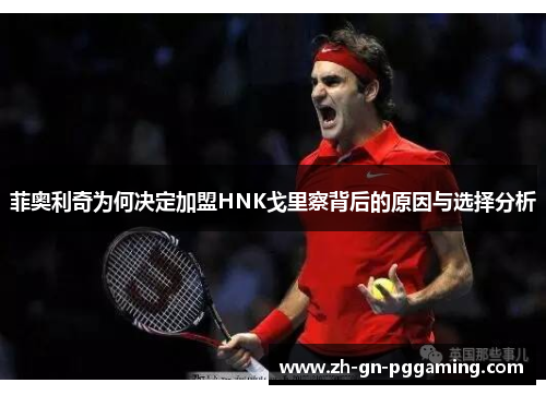 菲奥利奇为何决定加盟HNK戈里察背后的原因与选择分析 菲奥利奇为何决定加盟HNK戈里察背后的原因与选择分析