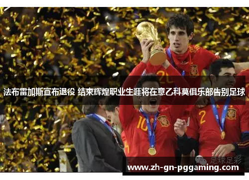 法布雷加斯宣布退役 结束辉煌职业生涯将在意乙科莫俱乐部告别足球 法布雷加斯宣布退役 结束辉煌职业生涯将在意乙科莫俱乐部告别足球